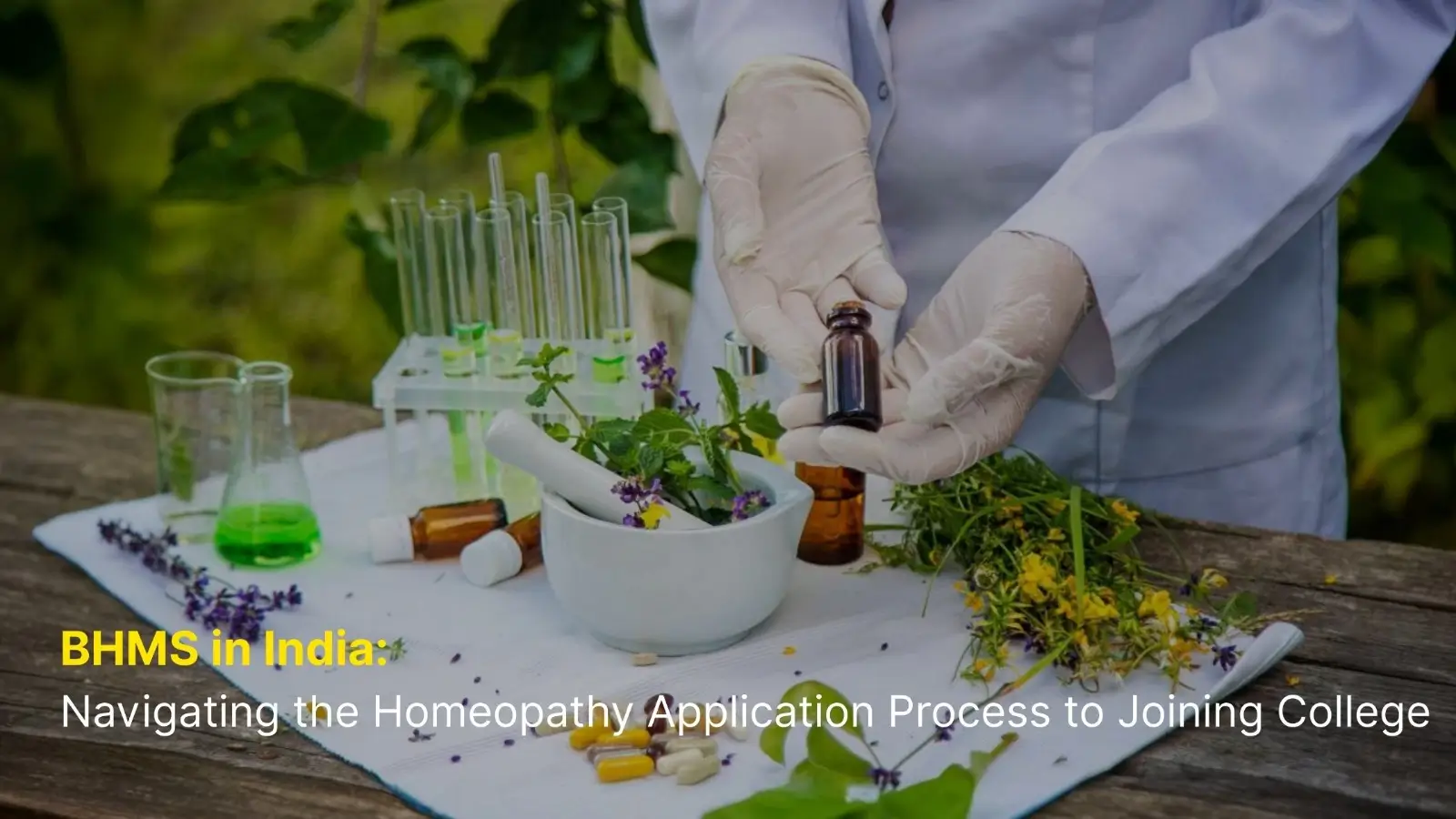 BHMS in India: Navigating the Homeopathy Application Process to Joining College 6 BHMS in India: Navigating the Homeopathy Application Process to Joining College